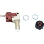 Auto Igniter Micro Switch