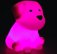 NEW - LED Rechargeable Dog Night Light
